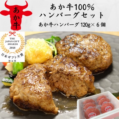 あか牛100%ハンバーグセット(あか牛ハンバーグ120g×6個)(美里町)【配送不可地域：離島】【1542205】