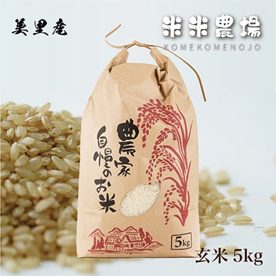 【毎月定期便】九州のお米食味コンクール2年連続優勝!ヒノヒカリ玄米全3回【4077575】