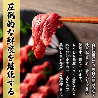 【毎月定期便】【全3回】フジチクふじ馬刺し上赤身4個セット 合計約320g(美里町)　全3回【配送不可地域：離島】【4076595】