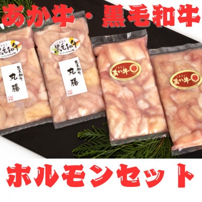 熊本県産　黒毛和牛(丸腸)200g×2個・あか牛(小腸)200g×2個　ホルモン計800g(美里町)【配送不可地域：離島】【1555107】