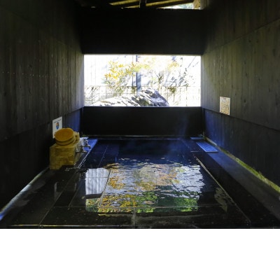 山峡(sankyo)プラン 大人2名 1泊2食付き【1730140】