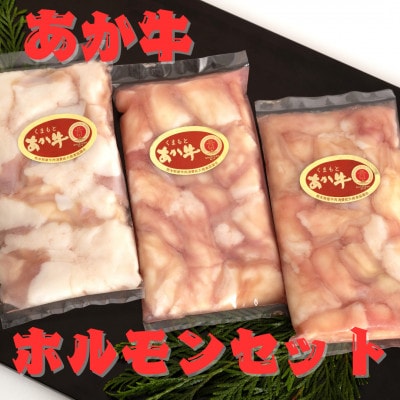 熊本県産　あか牛 牛小腸　ホルモンセット600g(200g×3パック)(美里町)【配送不可地域：離島】【1555102】