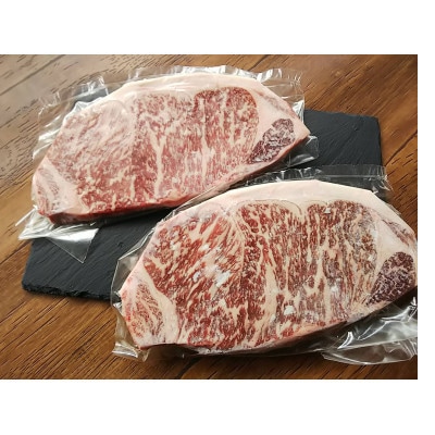 GI　くまもとあか牛　ロースステーキ　500g(美里町)【配送不可地域：離島】【1727269】