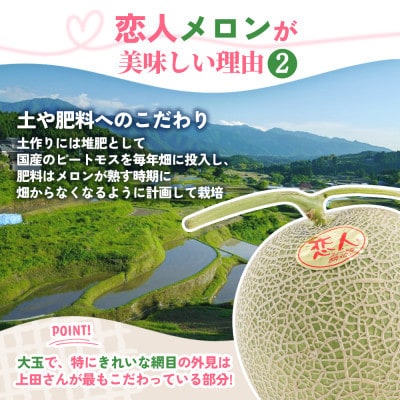 【先行受付】甘い!赤肉 稀少な上田農園の「恋人メロン」 1.4kg以上(1玉)【1680907】