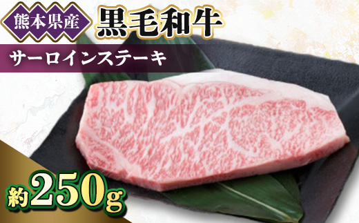 【黒毛和牛】熊本県産　サーロインステーキ　250g　(美里町)【配送不可地域：離島】【1527969】
