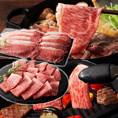 くまもと黒毛和牛「藤彩牛」厳選3種の食べ比べ計700g(美里町)【配送不可地域：離島】【1608076】