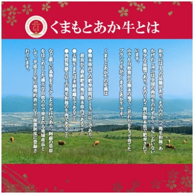 GI　くまもとあか牛　特選焼肉　500g(美里町)【配送不可地域：離島】【1727267】