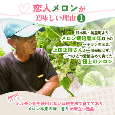 【先行受付】甘い!赤肉 稀少な上田農園の「恋人メロン」 計2.8kg以上(2玉〜3玉)【1623920】