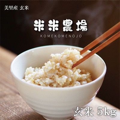 【毎月定期便】九州のお米食味コンクール2年連続優勝!ヒノヒカリ玄米全3回【4077575】