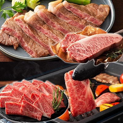 縺上∪繧ゅ→鮟呈ッ帛柱迚帙瑚陸蠖ゥ迚帙榊宍驕ク4遞ョ縺ョ雍豐「繧サ繝繝(鄒朱檎伴)縲宣埼∽ク榊庄蝨ー蝓滂シ夐屬蟲カ縲代1608132縲