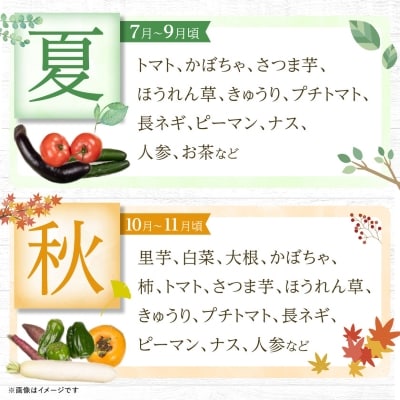 季節の野菜 詰め合わせ「スタンダードコース」【配送不可地域：離島】【1469457】