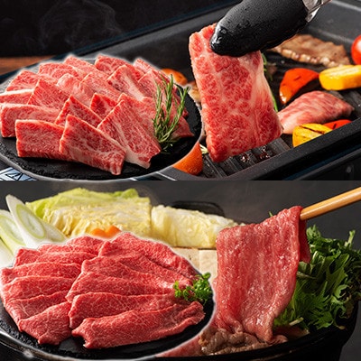 くまもと黒毛和牛「藤彩牛」厳選3種の食べ比べ計600g(美里町)【配送不可地域：離島】【1608067】