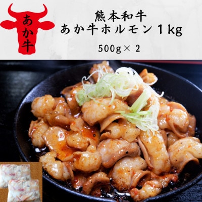 熊本和牛あか牛ホルモン1kg(500g×2)(美里町)【配送不可地域：離島】【1542401】