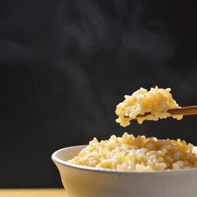 【新米予約!】令和8年産   ヒノヒカリ にこまる 食べ比べ 玄米 10kg(各5kg×2袋)【1647890】