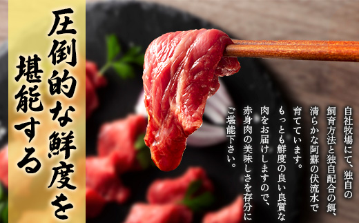 【毎月定期便】【全3回】フジチクふじ馬刺し上赤身4個セット 合計約320g(美里町)　全3回【配送不可地域：離島】【4076595】