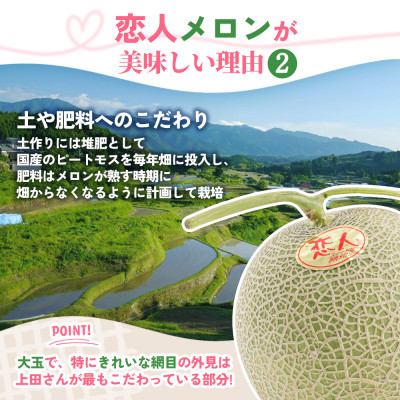 【先行受付】甘い!赤肉 稀少な上田農園の「恋人メロン」 計2.8kg以上(2玉〜3玉)【1623920】