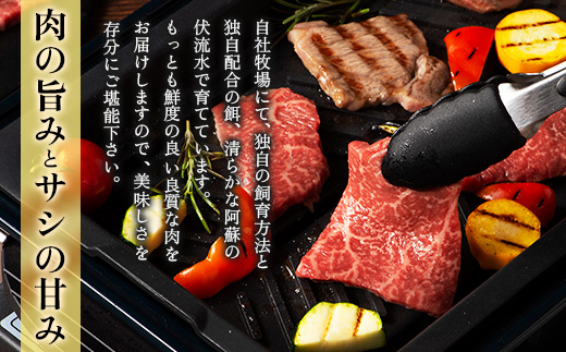 フジチク藤彩牛モモ焼肉用 400g(美里町)【配送不可地域：離島】【1644654】