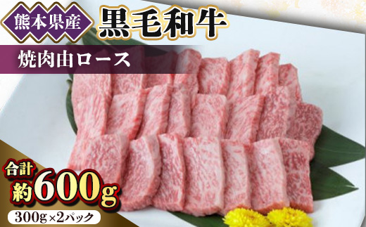 【黒毛和牛】熊本県産　焼き肉用　ロース600g(300g×2パック)　(美里町)【配送不可地域：離島】【1527981】