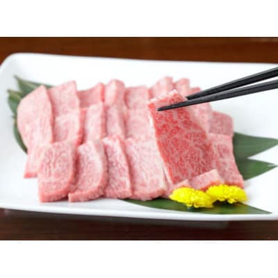 【黒毛和牛】熊本県産　焼き肉用　ロース600g(300g×2パック)　(美里町)【配送不可地域：離島】【1527981】