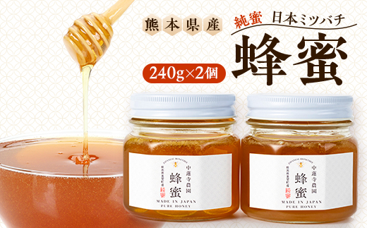 【数量限定】熊本県 美里町 はちみつ 純蜜 240g×2個【中蓮寺農園】【1625008】