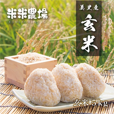 【毎月定期便】九州のお米食味コンクール2年連続優勝!ヒノヒカリ玄米全3回【4077575】