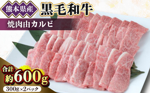 【黒毛和牛】熊本県産　焼き肉用　カルビ600g(300g×2パック)　(美里町)【配送不可地域：離島】【1527979】