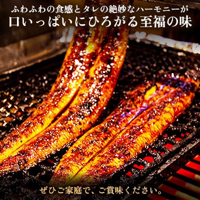 ヒロシのおすすめ!鰻の名店『うな雅』国産 手焼き 鰻【極上】かば焼き 2尾 約500g【配送不可地域：離島】【1675001】