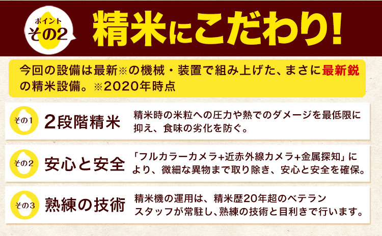 【3ヶ月定期便】令和6年産 新米 定期便 ひのひかり20kg 《申込み翌月から発送》令和6年産 熊本県産 ふるさと納税 白米 精米 ひの 米 こめ ふるさとのうぜい ヒノヒカリ コメ 熊本米 ひのもり