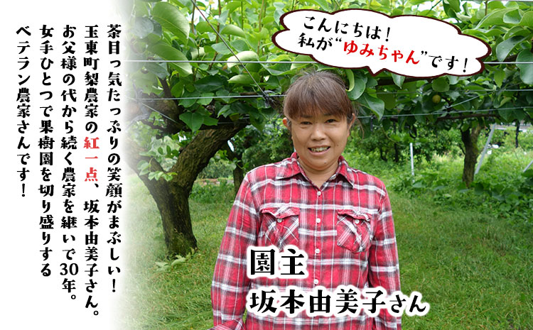 『ゆみちゃん農園』の玉東梨 甘太梨 約5kg 7玉-16玉前後 《2026年8月下旬-10月上旬頃出荷》熊本県玉名郡玉東町 梨 なし 果物 フルーツ 旬の梨