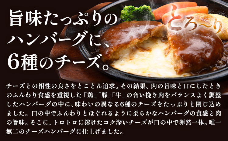 ハンバーグ チーズインハンバーグ 20個 湯せん で 温めるだけ デミグラス 《7-14営業日以内に出荷予定(土日祝除く)》 簡単 調理 惣菜 冷凍 牛 湯煎 人気 子供 こども 小分け チーズ ふるさと納税 熊本県 玉東町