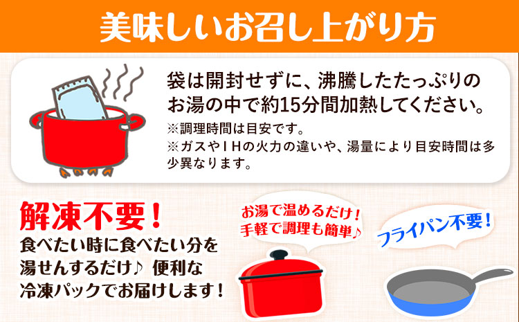 ハンバーグ 22個 国産のお肉使用！ 鶏肉不使用 温めるだけ 「通の贅沢ハンバーグ」濃厚デミグラスソース《7-14日以内に出荷予定(土日祝除く)》 牛 訳あり 小分け 早く届く