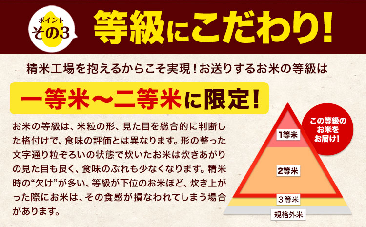 【6ヶ月定期便】令和6年産 定期便 無洗米 ひのひかり 10kg 《申込み翌月から発送》令和6年産 熊本県産 ふるさと納税 精米 ひの 米 こめ ふるさとのうぜい ヒノヒカリ コメ 熊本米