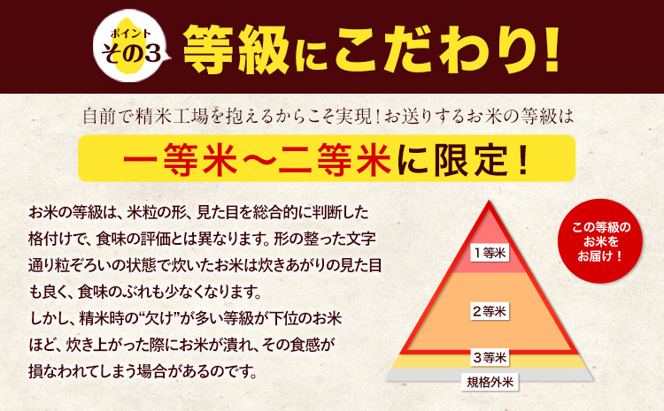 令和6年産 新米 特A受賞品種 無洗米 ひのひかり 無洗米 森のくまさん 計20kg 食べ比べ 厳選お楽しみセット 熊本県産 玉東町産含む 各5kg×2袋 計4袋 無洗米 精米 玉東町 森くま《11月-12月より出荷予定》ブランド米