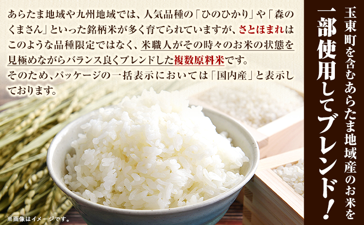 【12ヶ月定期便】熊本県産 さとほまれ 無洗米 ご家庭用 定期便 20kg 《申込み翌月から発送》熊本県 玉名郡 玉東町 米 こめ コメ ブレンド米 送料無料