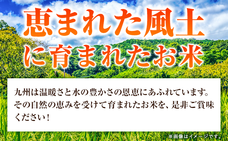 【12ヶ月定期便】熊本県産 さとほまれ 無洗米 ご家庭用 定期便 10kg 《申込み翌月から発送》熊本県 玉名郡 玉東町 米 こめ コメ ブレンド米 送料無料