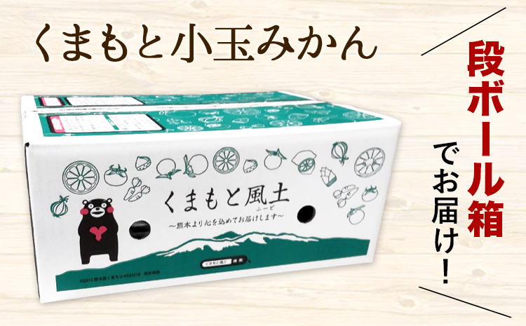 最短7日発送！ 訳あり みかん 小玉みかん くまもと小玉みかん  8kg 秋 旬 不揃い 傷 ご家庭用 SDGs 小玉 たっぷり 熊本県 産 S-3Sサイズ フルーツ 旬 柑橘 熊本県産 温州みかん《7-14日以内に出荷予定(土日祝除く)》 早く届く