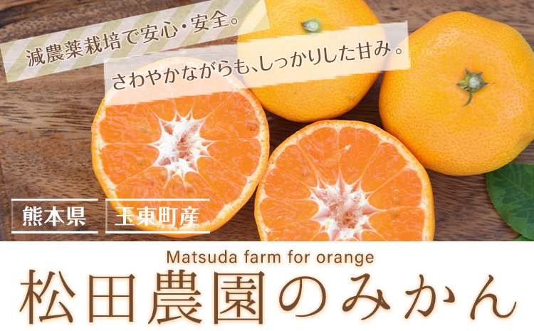 『松田農園』のみかん たっぷり 約3kg(S-2Lサイズ) フルーツ 秋 旬 熊本県 玉名郡 玉東町 松田農園 手間暇かけたこだわりのミカン【日付指定不可】《11月上旬-12月下旬頃出荷》