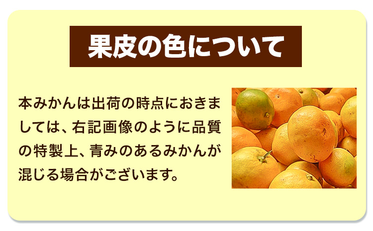 『大隅果樹園』のご家庭用みかん 約5kg(2S~Lサイズ) 大隅果樹園《10月下旬-12月下旬頃出荷》熊本県 玉名郡 玉東町 みかん 柑橘 フルーツ 果物 ご家庭用 訳あり