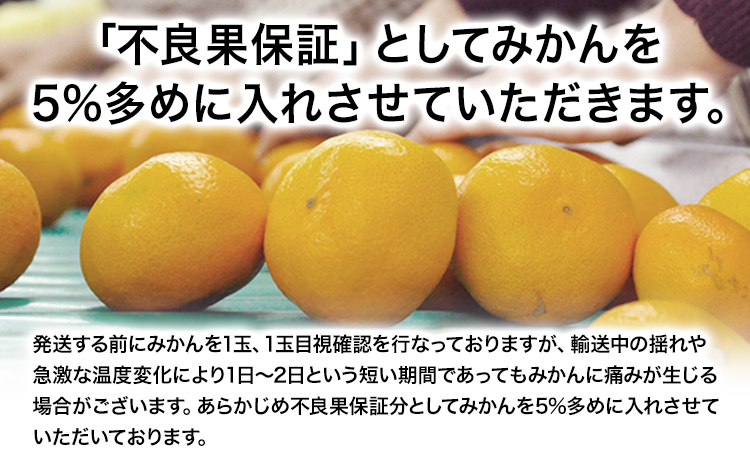 【新登場！】訳あり 熊本 大粒みかん 約8kg (3L～5Lサイズ) みかん 先行予約 ご家庭用 たっぷり 熊本県産 熊本県 期間限定 フルーツ 旬 柑橘 大玉《2025年1月中旬-2月末頃より出荷予定》