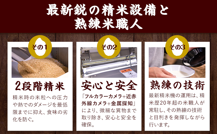 【12ヶ月定期便】熊本県産 さとほまれ 無洗米 ご家庭用 定期便 10kg 《申込み翌月から発送》熊本県 玉名郡 玉東町 米 こめ コメ ブレンド米 送料無料