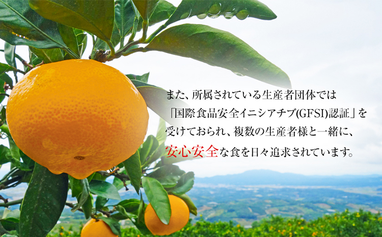 『菅本果実園』のみかん★約5kg(2S-Lサイズ) 《11月中旬-1月中旬頃出荷》 フルーツ 秋 旬 【日付指定不可】 ★熊本県玉名郡玉東町 全国にファン多数！エコファーマー菅本さんのみかん♪『菅本果実園』