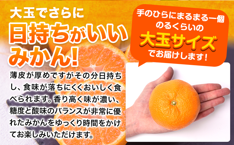 【新登場！】訳あり 熊本 大粒みかん 約8kg (3L～5Lサイズ) みかん 先行予約 ご家庭用 たっぷり 熊本県産 熊本県 期間限定 フルーツ 旬 柑橘 大玉《2025年1月中旬-2月末頃より出荷予定》