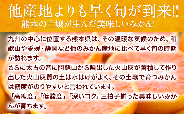 【新登場！】訳あり 熊本 大粒みかん 約8kg (3L～5Lサイズ) みかん 先行予約 ご家庭用 たっぷり 熊本県産 熊本県 期間限定 フルーツ 旬 柑橘 大玉《2025年1月中旬-2月末頃より出荷予定》