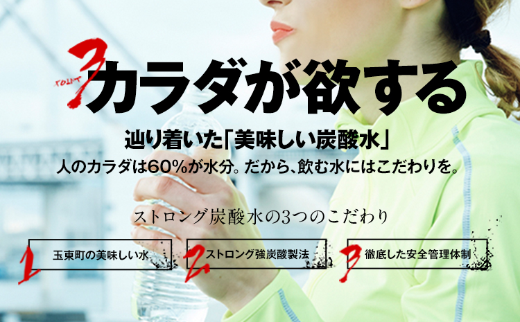 【6ヶ月定期便】強炭酸水12箱（計6回お届け 合計12ケース: 500ml×288本）《お申込み月の翌月から出荷開始》強炭酸水 熊本県玉東町産の水を使用! クリアで爽快な喉越し！くまもと風土の強炭酸水★ストロング炭酸水 ふるさと納税 熊本県 玉東町 炭酸水 水 強炭酸 送料無料 便利 ダイエットしたい方に スポーツ お酒割