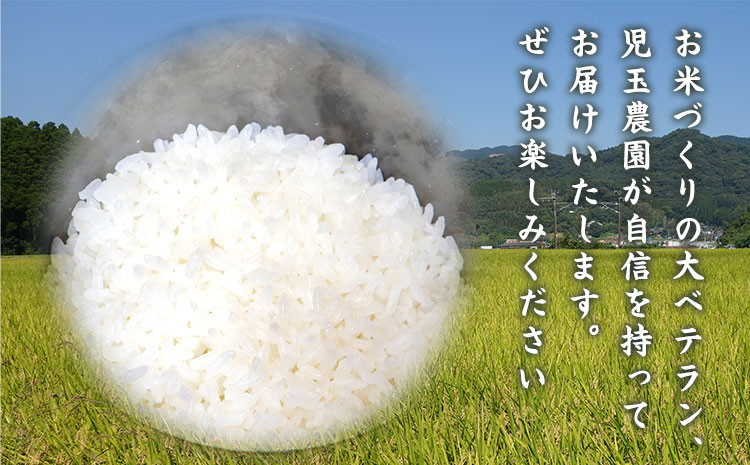 【令和7年産】『児玉農園』 くまさんの輝き 10kg 5kg×2袋《10月中旬-10月末頃出荷》