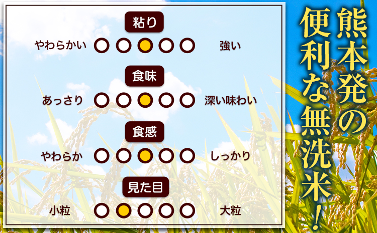 熊本県産 さとほまれ 無洗米 ご家庭用 10kg 《11月-12月より出荷予定》熊本県 玉名郡 玉東町 米 こめ コメ ブレンド米 送料無料