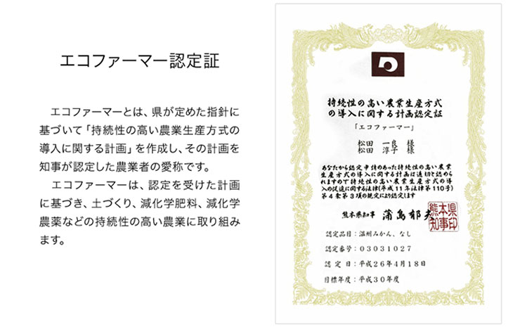 【先行予約】秋 旬 梨 期間限定 【日付指定不可】梨 『松田農園』の くまもと 梨 たっぷり 約2kg 5-7玉前後《7月下旬-9月末頃出荷》 予約 受付中 熊本県玉名郡玉東町『松田農園』なし 果物 スイーツ フルーツ デザート スムージー  SDG`s
