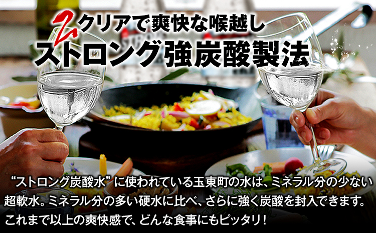 【6ヶ月定期便】強炭酸水12箱（計6回お届け 合計12ケース: 500ml×288本）《お申込み月の翌月から出荷開始》強炭酸水 熊本県玉東町産の水を使用! クリアで爽快な喉越し！くまもと風土の強炭酸水★ストロング炭酸水 ふるさと納税 熊本県 玉東町 炭酸水 水 強炭酸 送料無料 便利 ダイエットしたい方に スポーツ お酒割