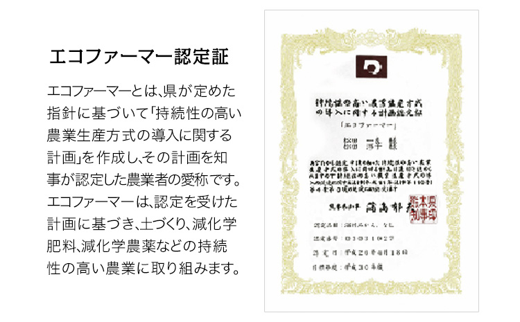 『松田農園』のみかん たっぷり 約3kg(S-2Lサイズ) フルーツ 秋 旬 熊本県 玉名郡 玉東町 松田農園 手間暇かけたこだわりのミカン【日付指定不可】《11月上旬-12月下旬頃出荷》