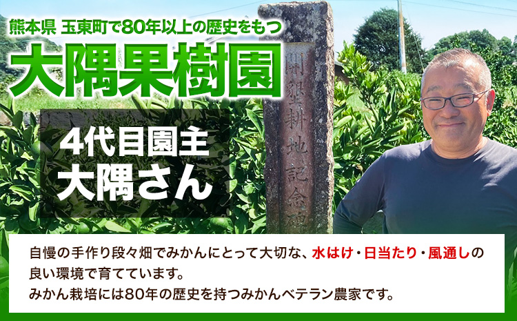 『大隅果樹園』のご家庭用みかん 約5kg(2S~Lサイズ) 大隅果樹園《10月下旬-12月下旬頃出荷》熊本県 玉名郡 玉東町 みかん 柑橘 フルーツ 果物 ご家庭用 訳あり